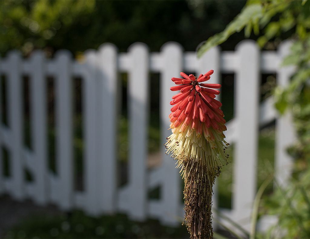 Normandie 05 - 2016_KA79690-1 Kopie.jpg